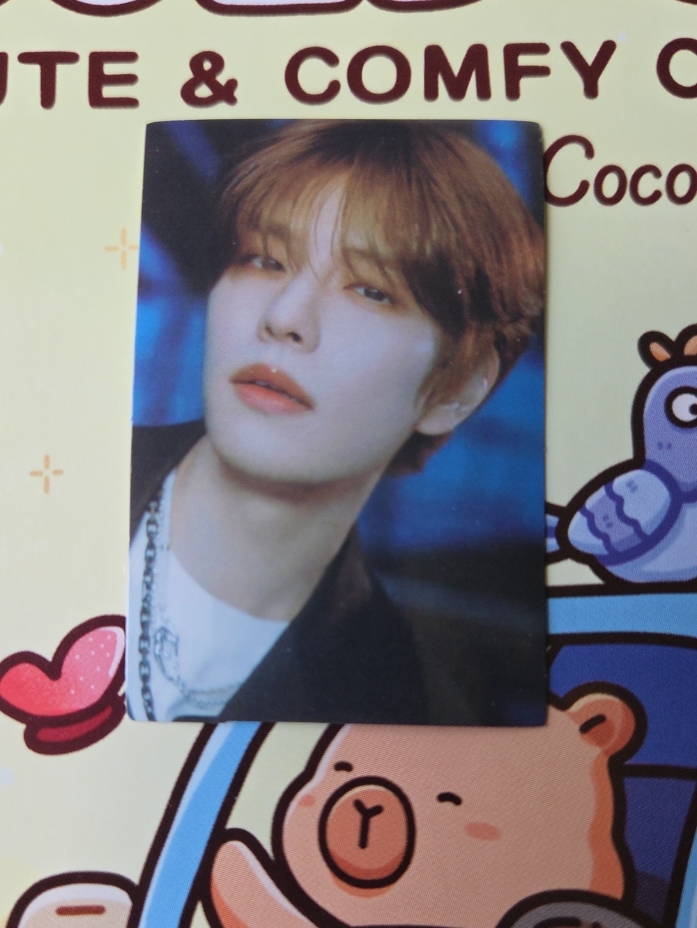 Straykids Sticker Photocard Kpop Idol Protrait